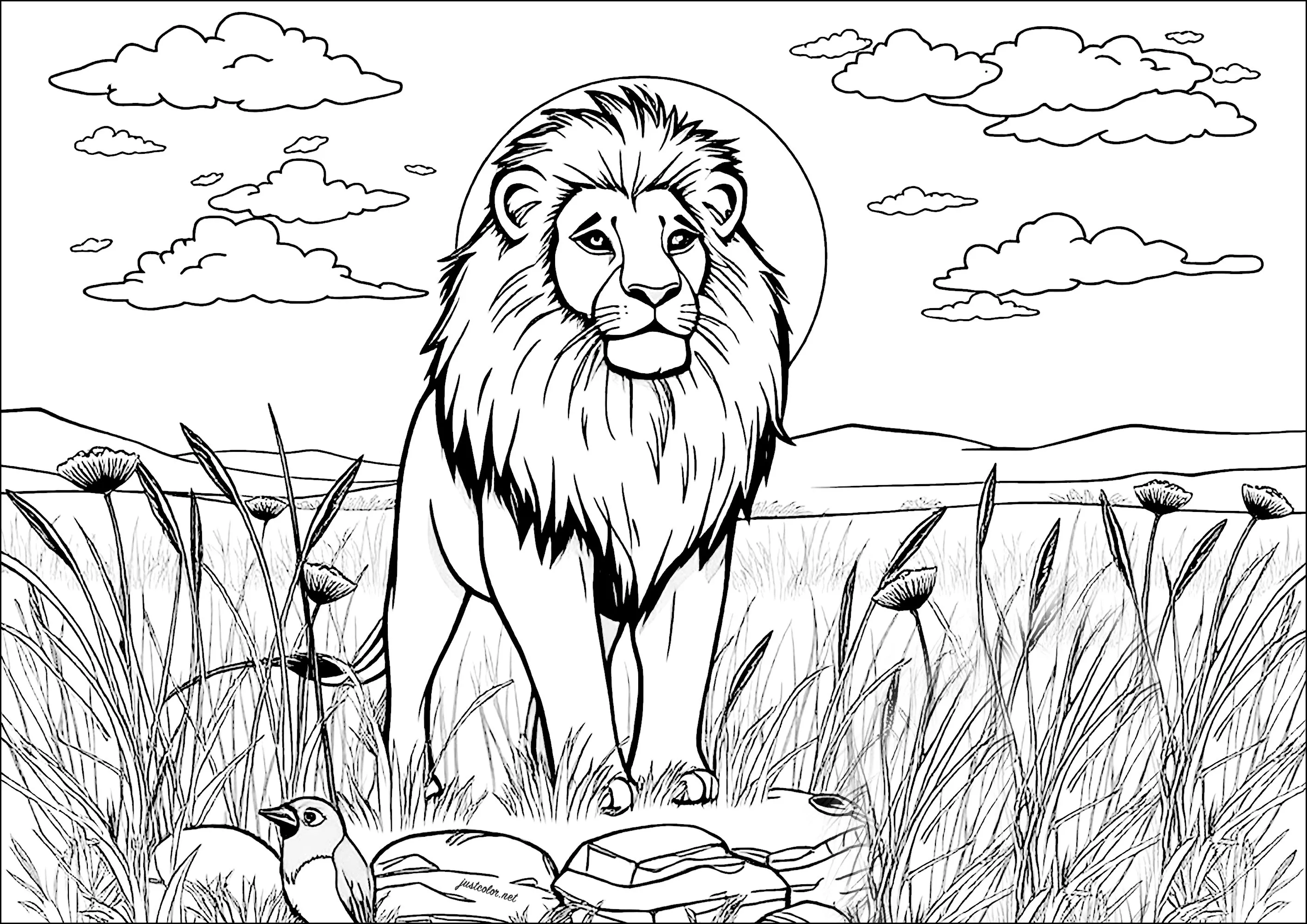 The king of the jungle (Printable Lion Coloring Page for adults)