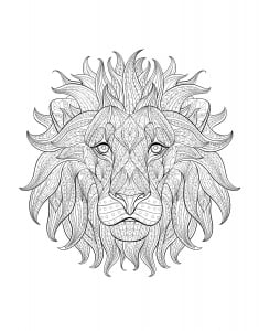 Coloring adult lion head 3