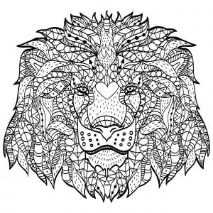 Coloring lion head viktoriia panchenko