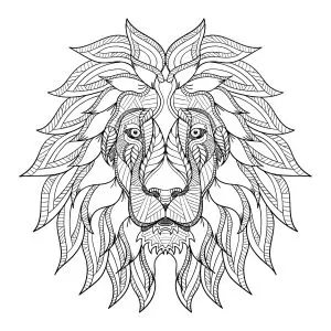 Lion's head and pretty mane