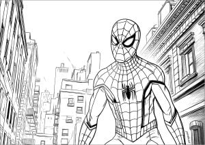 Spiderman In New York