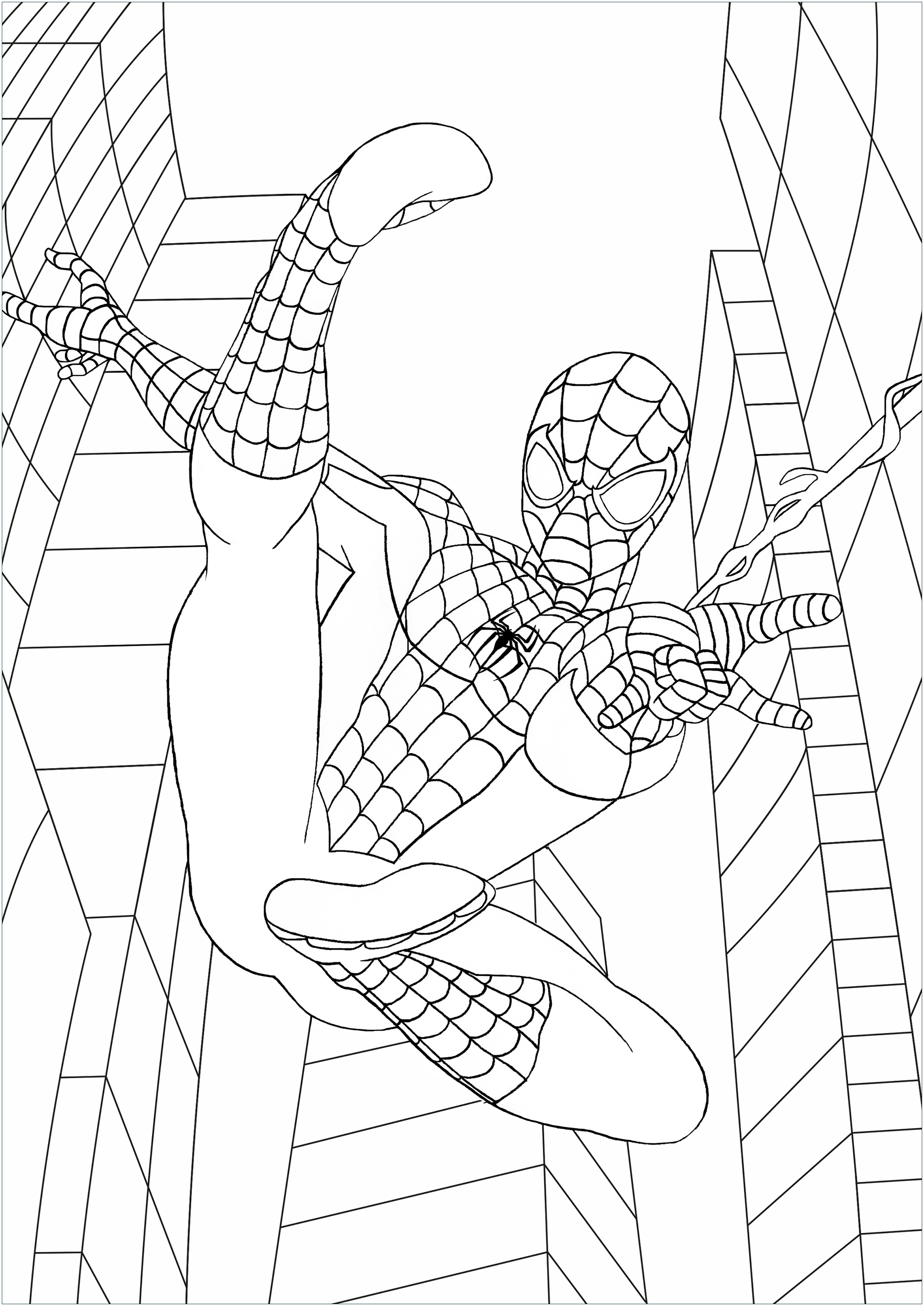 Spider-Man is one of the most popular and commercially successful superheroes. Color him in action in New York ! . Marvel has featured Spider-Man in several comic book series, the first and longest-lasting of which is The Amazing Spider-Man. Over the years, the Peter Parker character developed from a shy, nerdy New York City high school student to troubled but outgoing college student, to married high school teacher to, in the late 2000s, a single freelance photographer. In the 2010s, he joins the Avengers, Marvel's flagship superhero team, Artist : Nasser