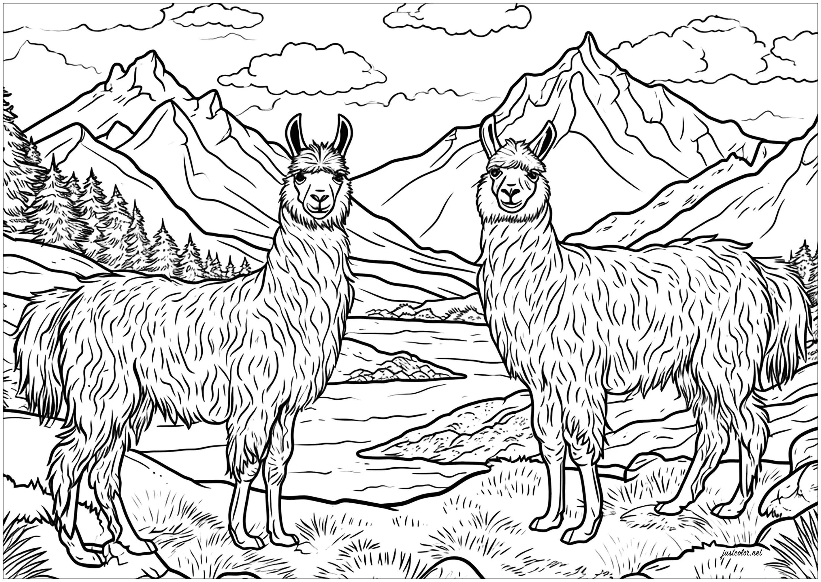 Two large llamas in a mountainous landscape (Printable Coloring Page for adults)