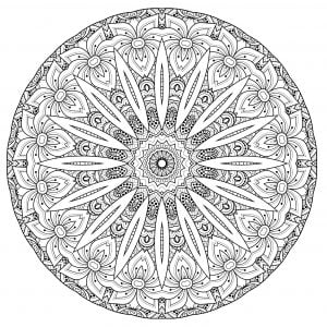 Complex Mandala With Flowers