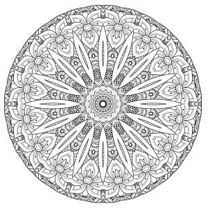 Complex Mandala with flowers