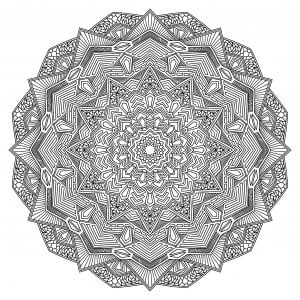 Outline Mandala Flower
