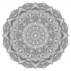 Outline Mandala Flower