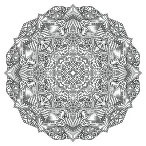 Outline Mandala Flower