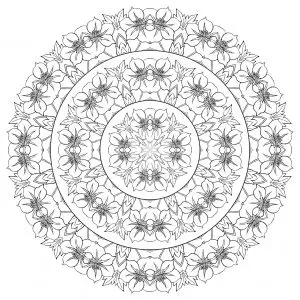 Complex Mandala With Many Flowers