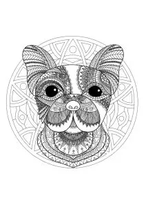 Mandala with funny Dog head and elegant patterns