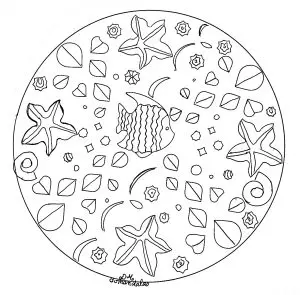 Mandala domandalas aquarium