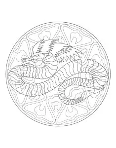 Mandala dragon 4