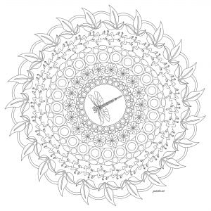 Mandala With Dragonfly