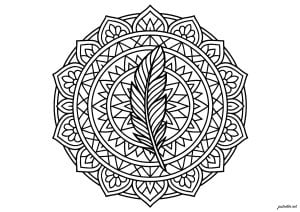 Sacred quill and magic circles