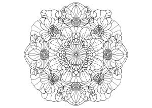 A harmonious floral symphony