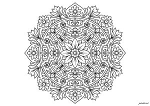 Symmetrical Floral Mandala