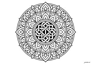 Symmetrical floral maze