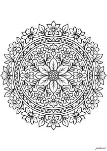 Floral harmony in a complex mandala