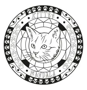 Adult mandala cat by allan