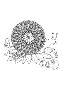 Mandala made of elegant flowers - Mandalas Adult Coloring Pages