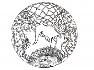 coloring-page-mandala-heron