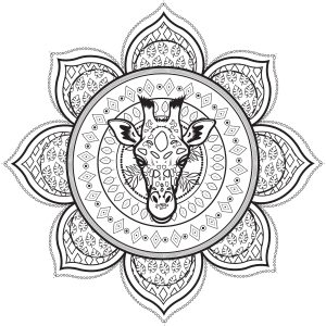 Printable Coloring Page for adults : Mandala with Giraffe