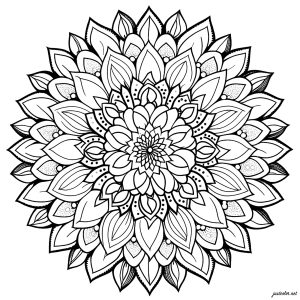 Simple mandala with petals