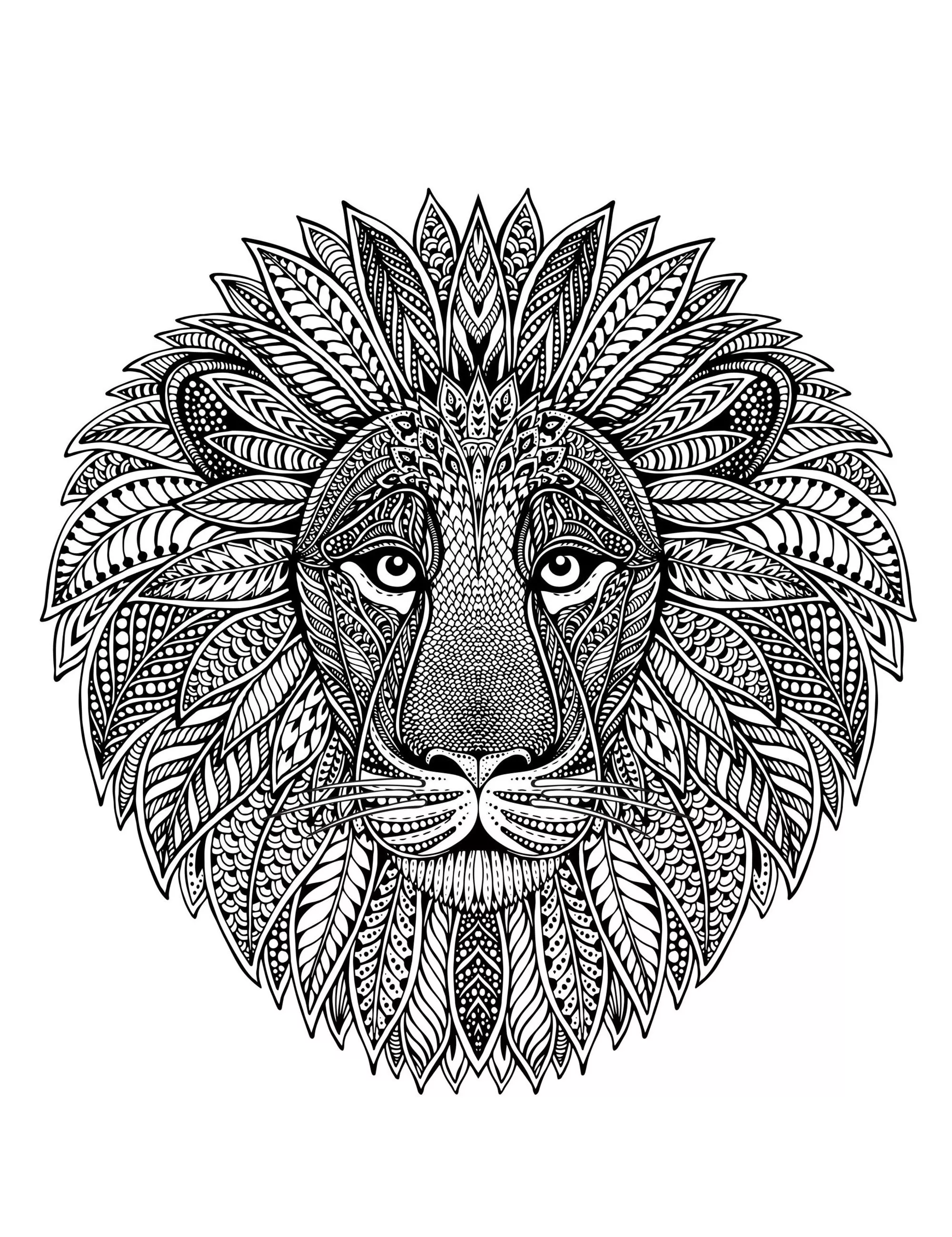 Lion head as mandala (Printable Coloring Page for adults)