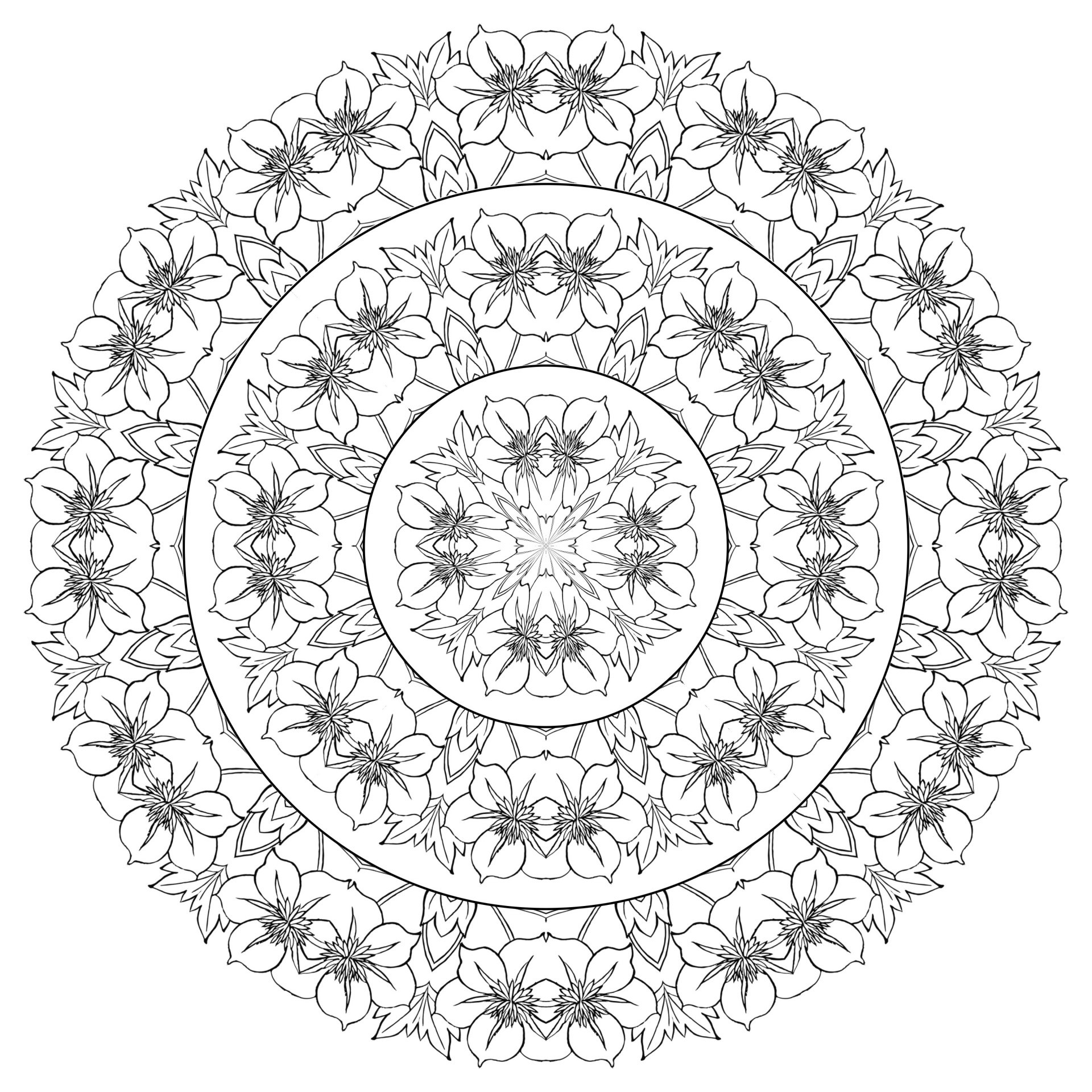 A mandala of identical flowers and leaves. All the flowers and leaves on this mandala are identical, but can be colored individually. This flowery mandala offers a multitude of possibilities to give free rein to your creativity and create a unique coloring scheme that reflects your personality.