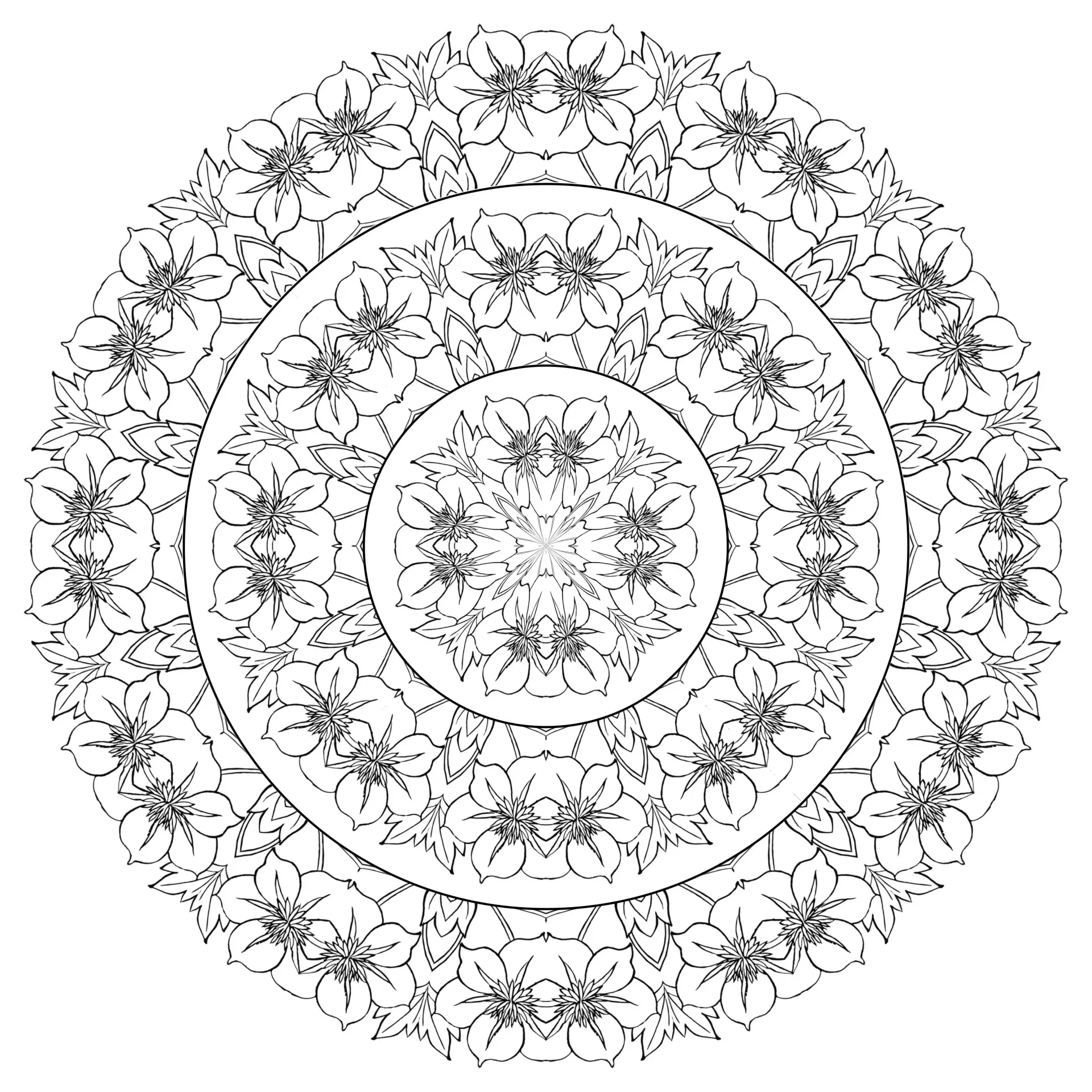Complex mandala with many flowers (Printable Coloring Page for adults)