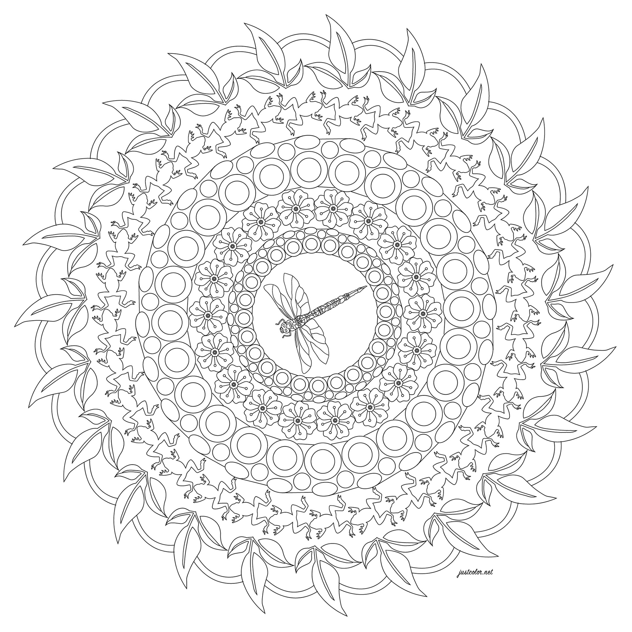 Color this Mandala with a dragonfly in the center. Do you see the frogs ?