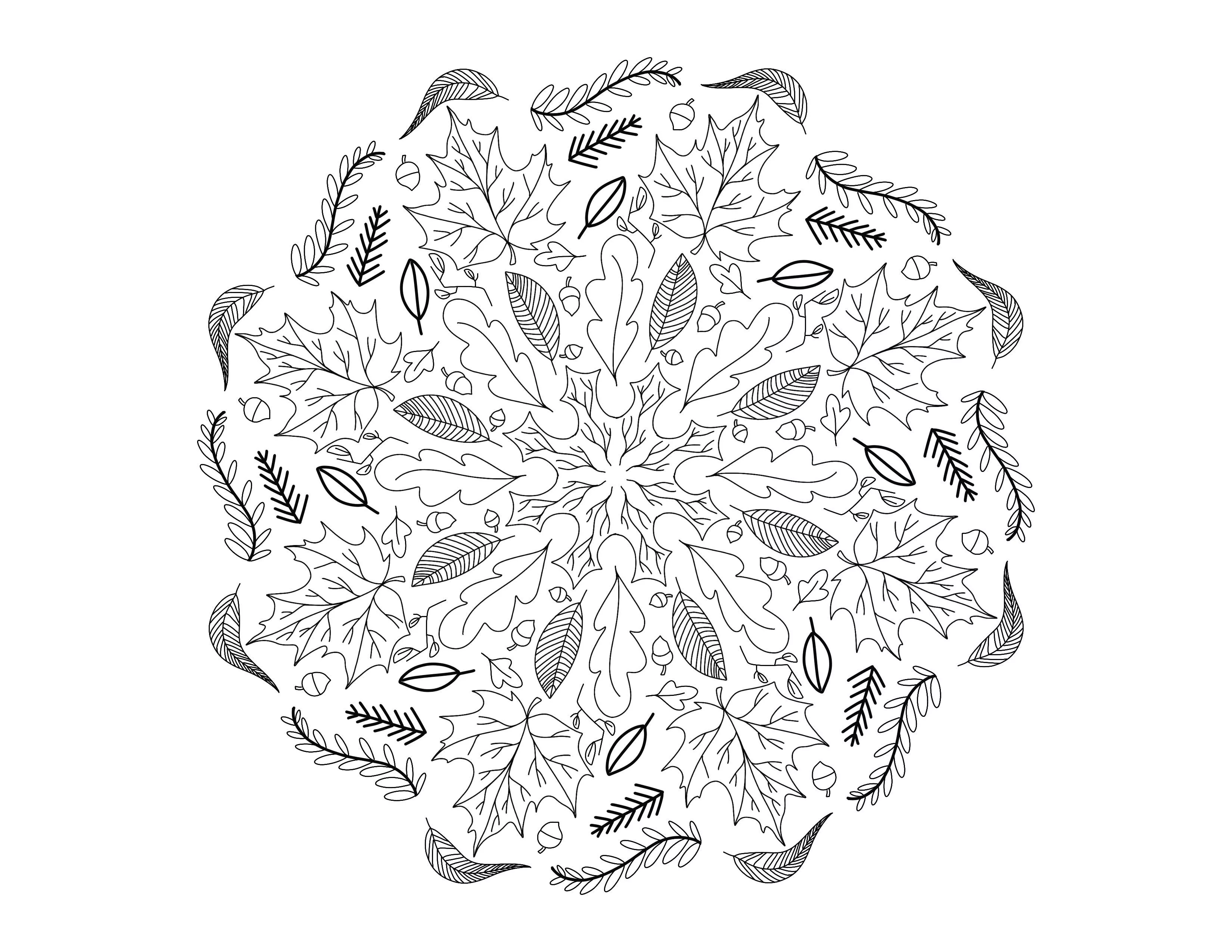 Autumn Mandala (Printable Coloring Page for adults)