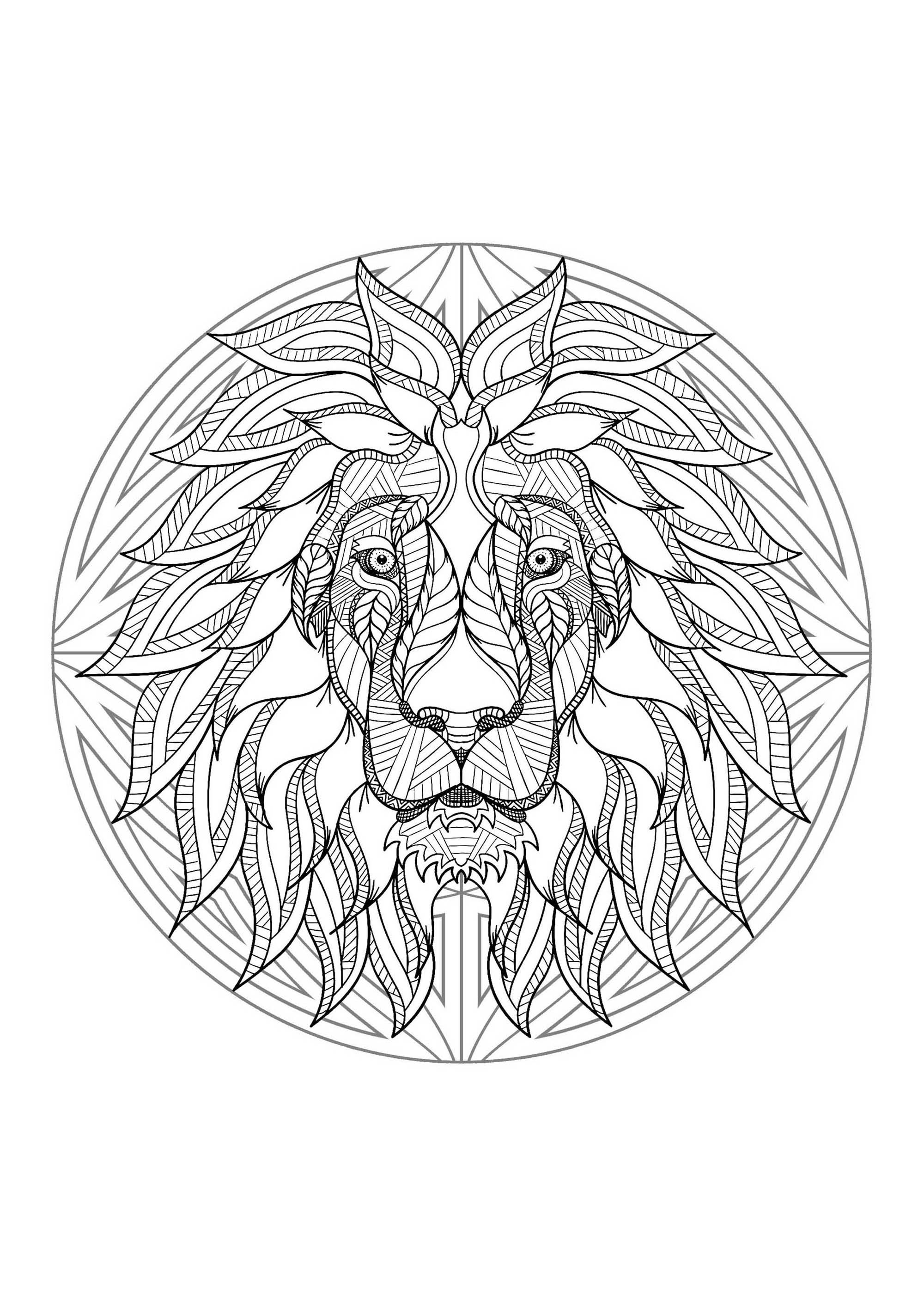 A lion's head in a Mandala. A true masterpiece! This coloring represents a lion's head perfectly integrated into a complex and rich mandala.