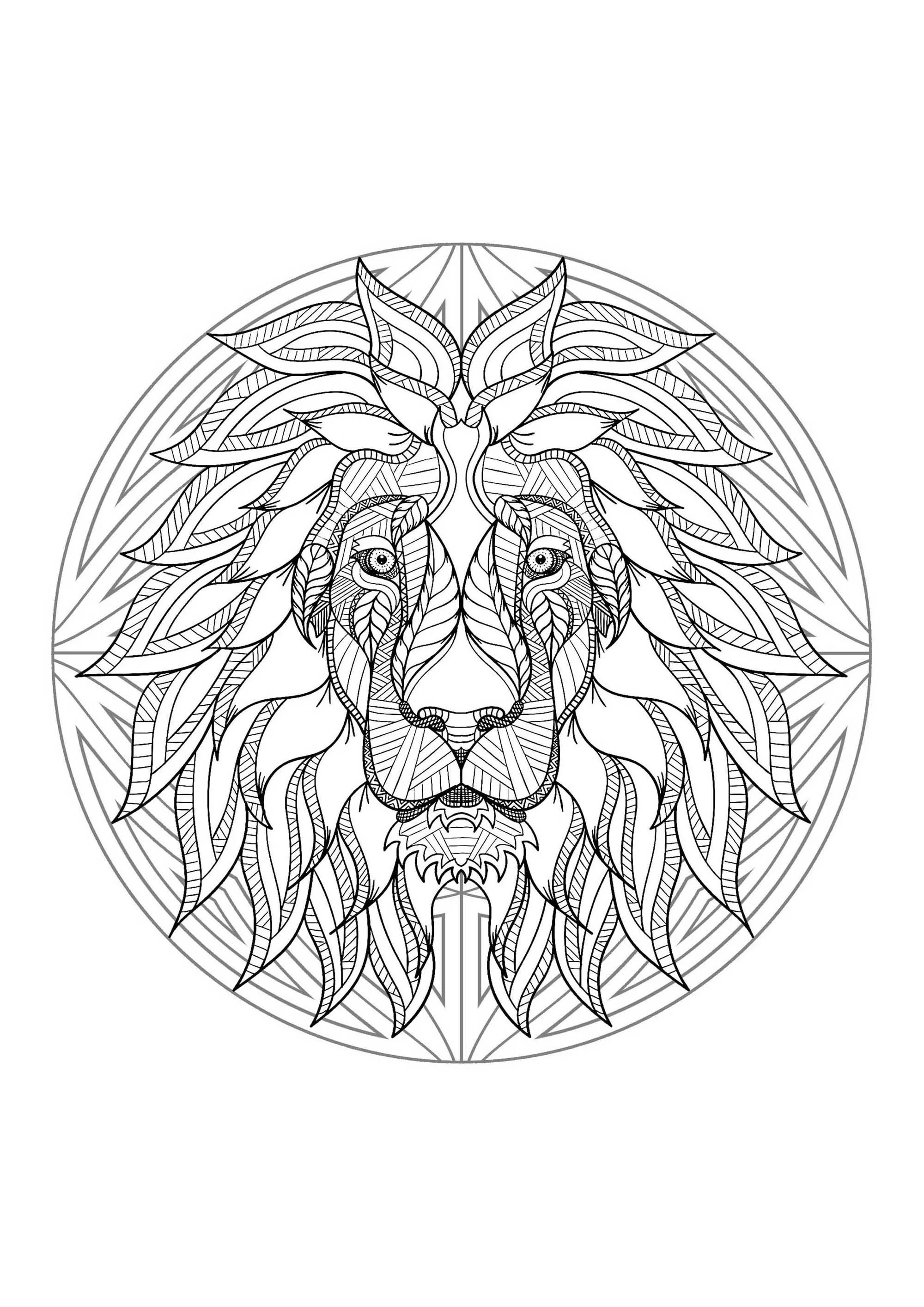 Mandala and lion head (Printable Coloring Page for adults)
