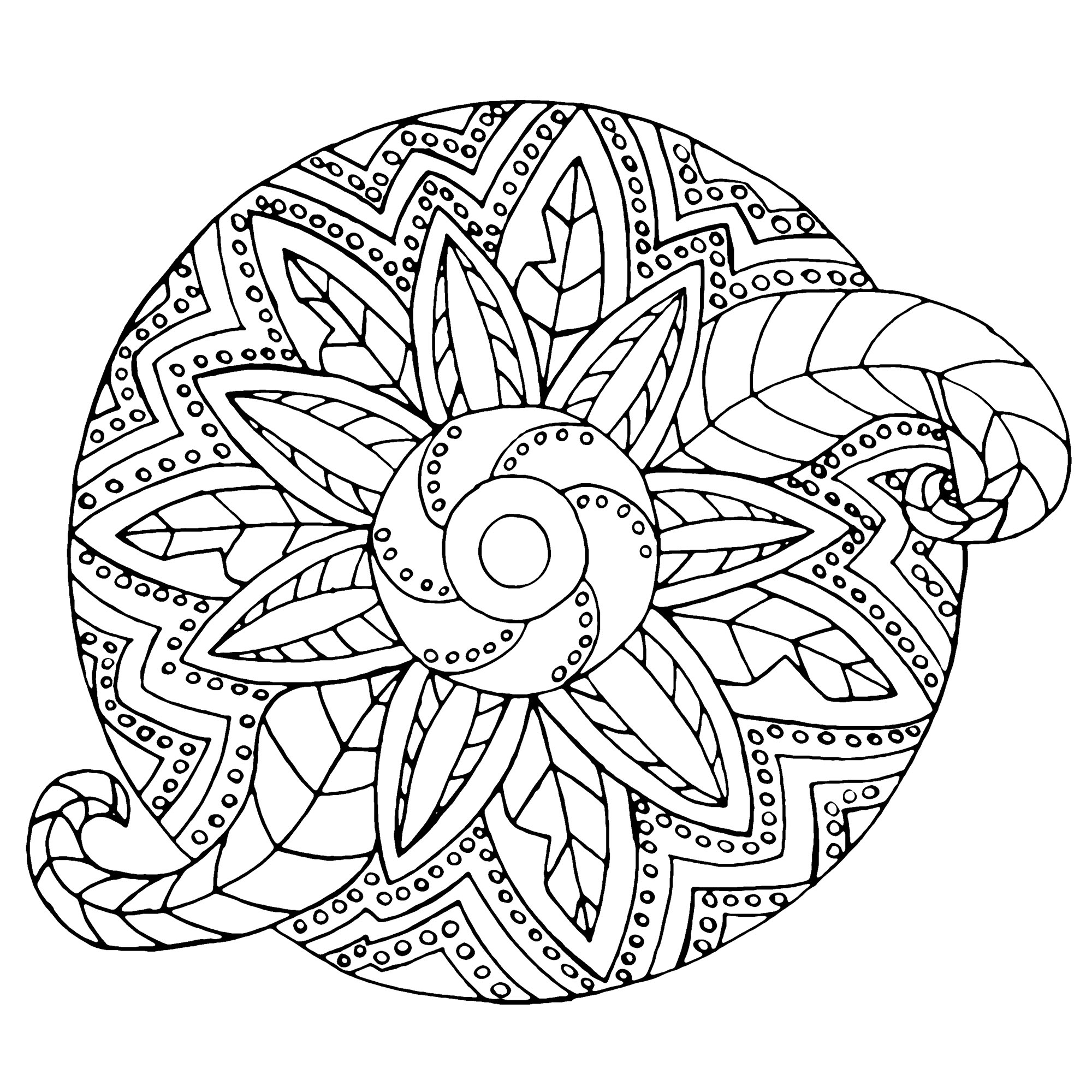 A Mandala mixing metallic and vegetable forms