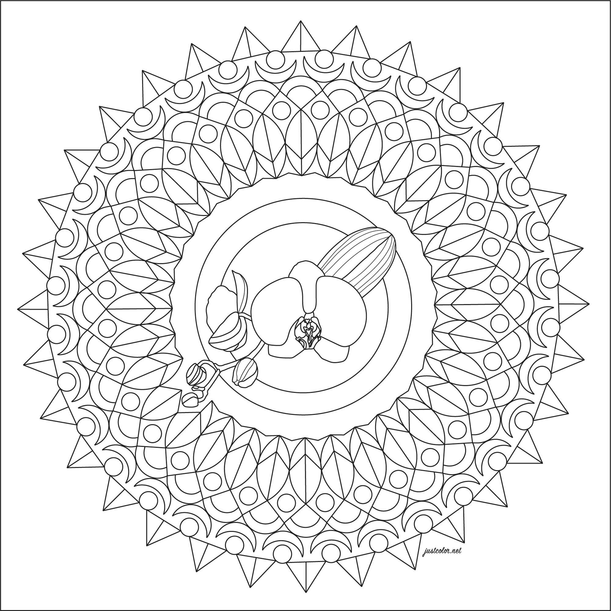 Beautiful orchid in the center of a simple Mandala to print & color