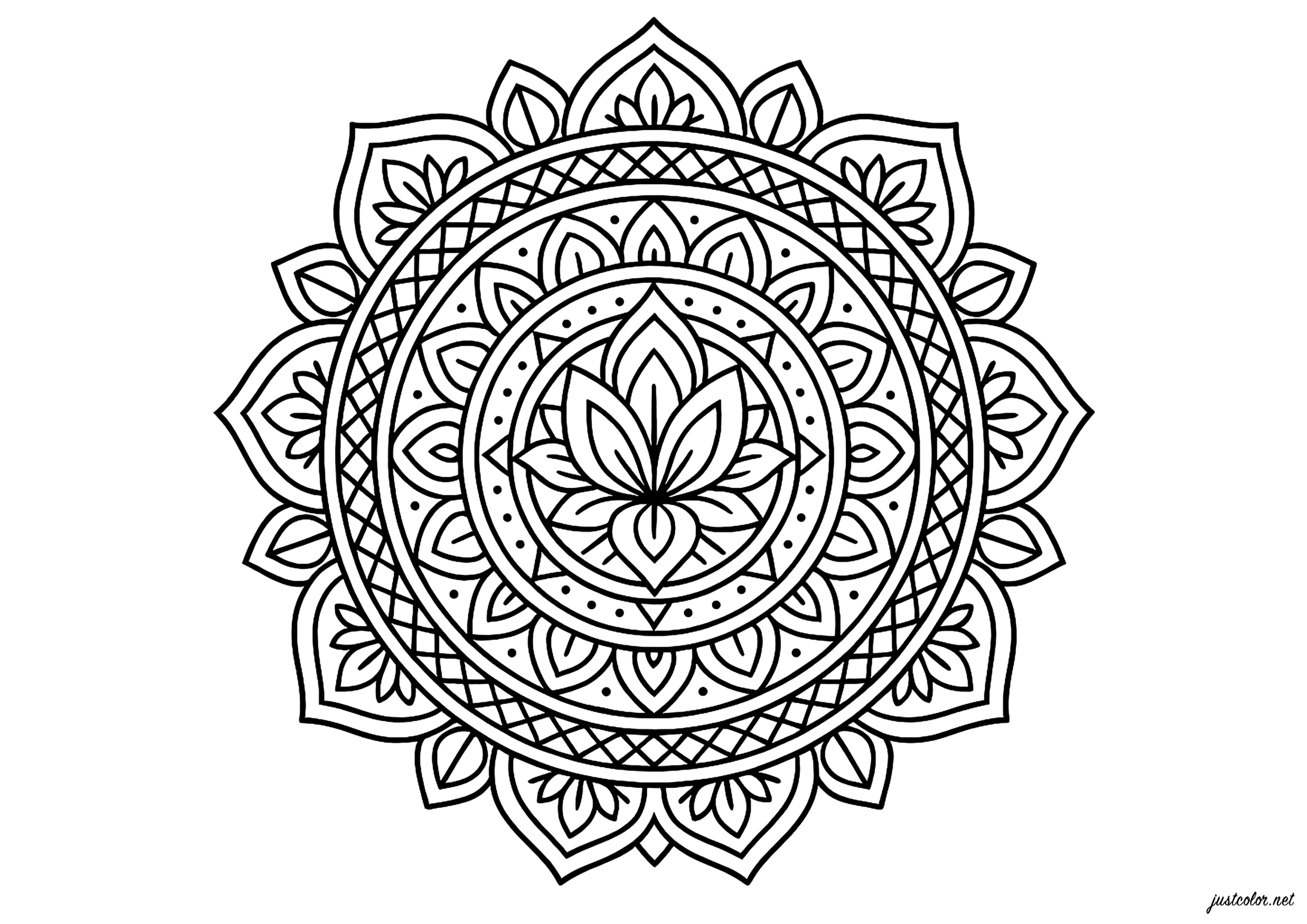 Floral symphony in circular motifs (Printable Mandalas Coloring Page for adults)