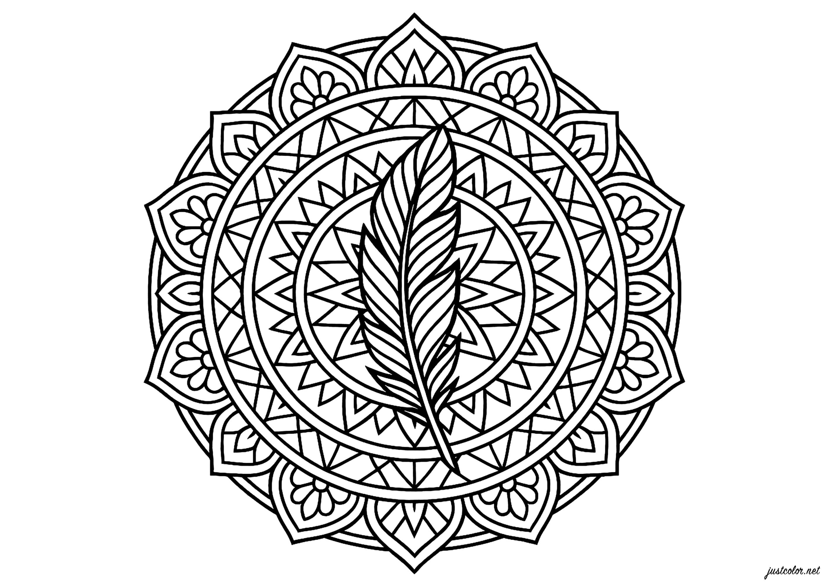 Sacred Quill and Magic Circles (Printable Mandalas Coloring Page for adults)