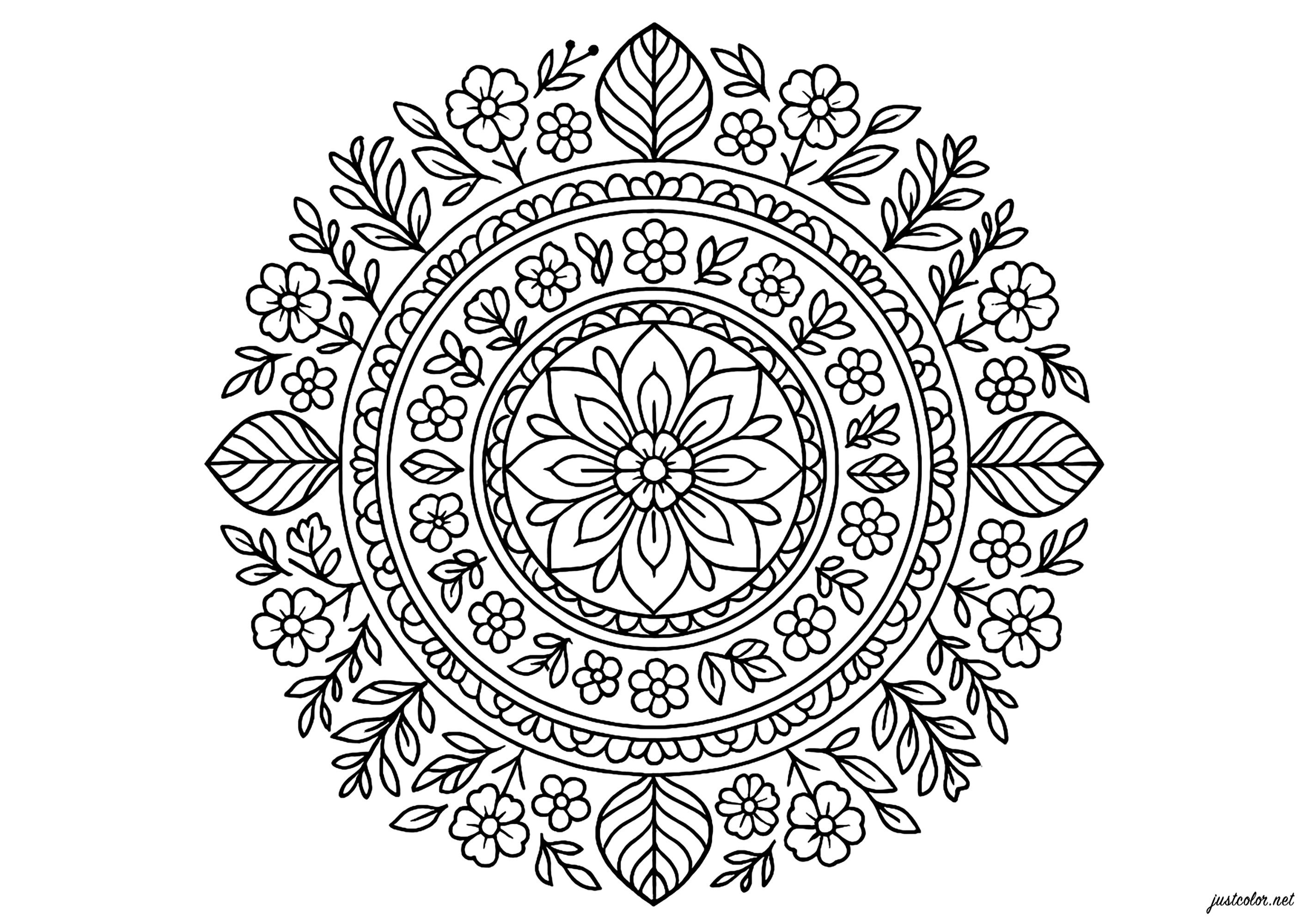 Floral mandala with detailed motifs (Printable Coloring Page for adults)