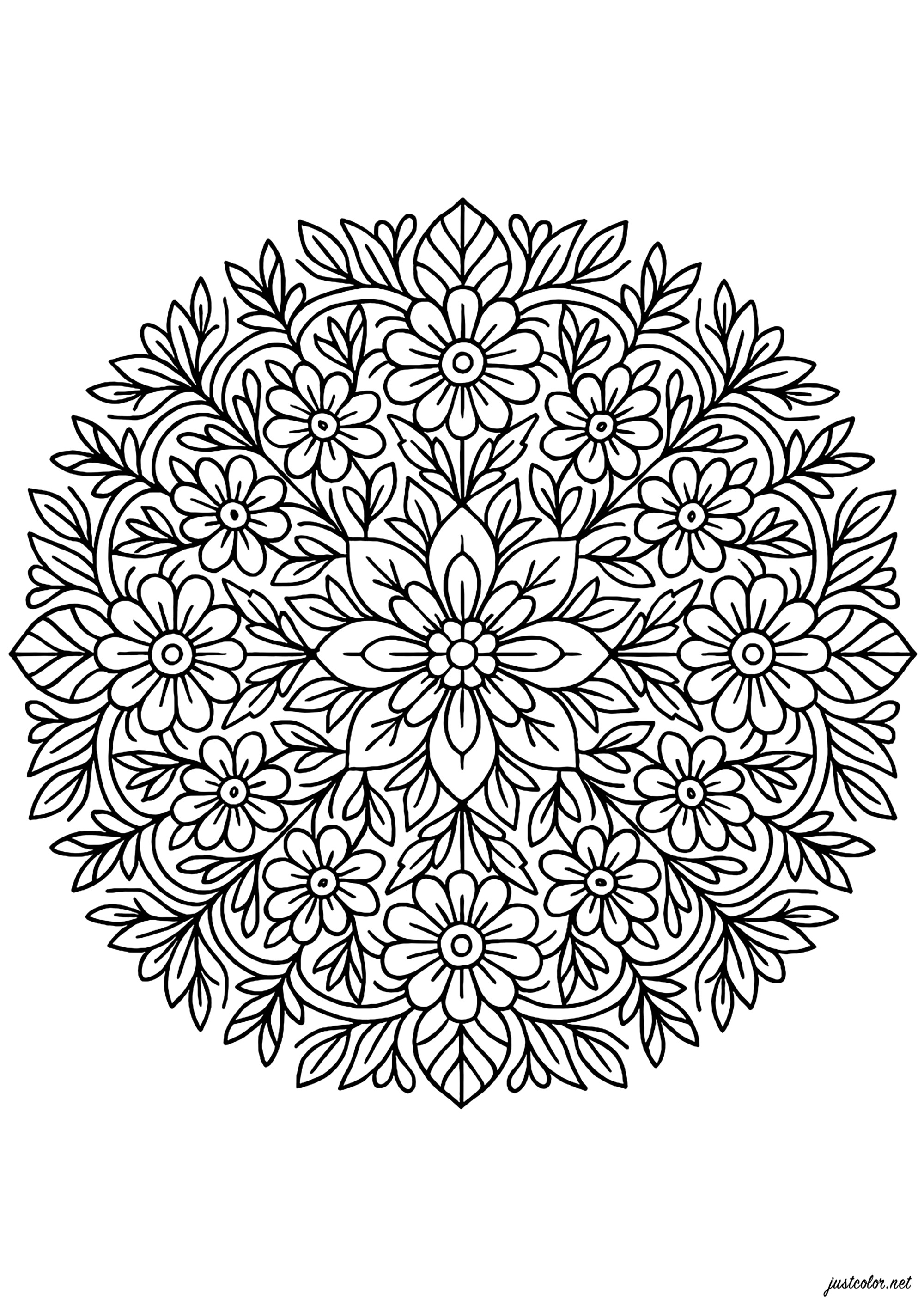 Symmetrical floral mandalas (Printable Coloring Page for adults)