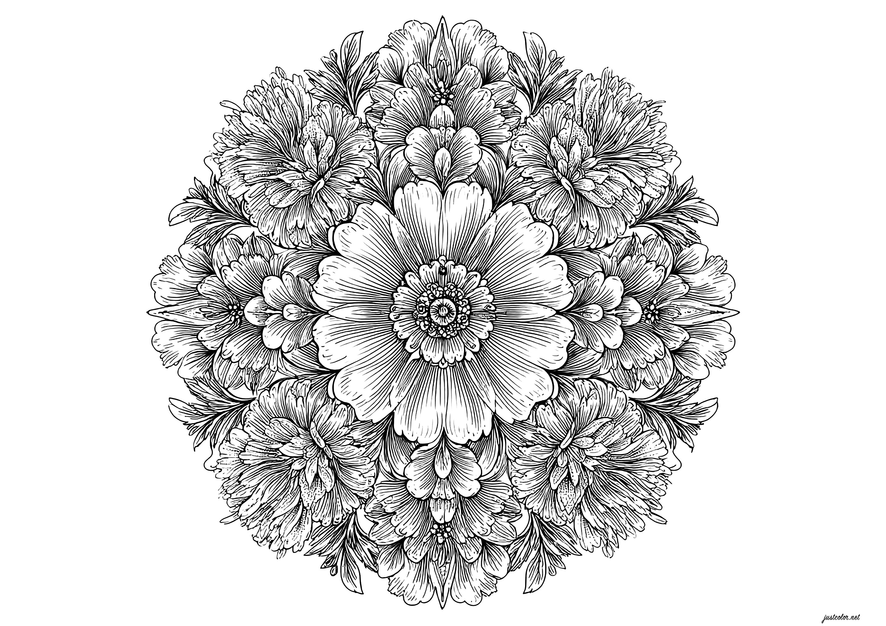 Mandala with large leaves (Printable Coloring Page for adults)