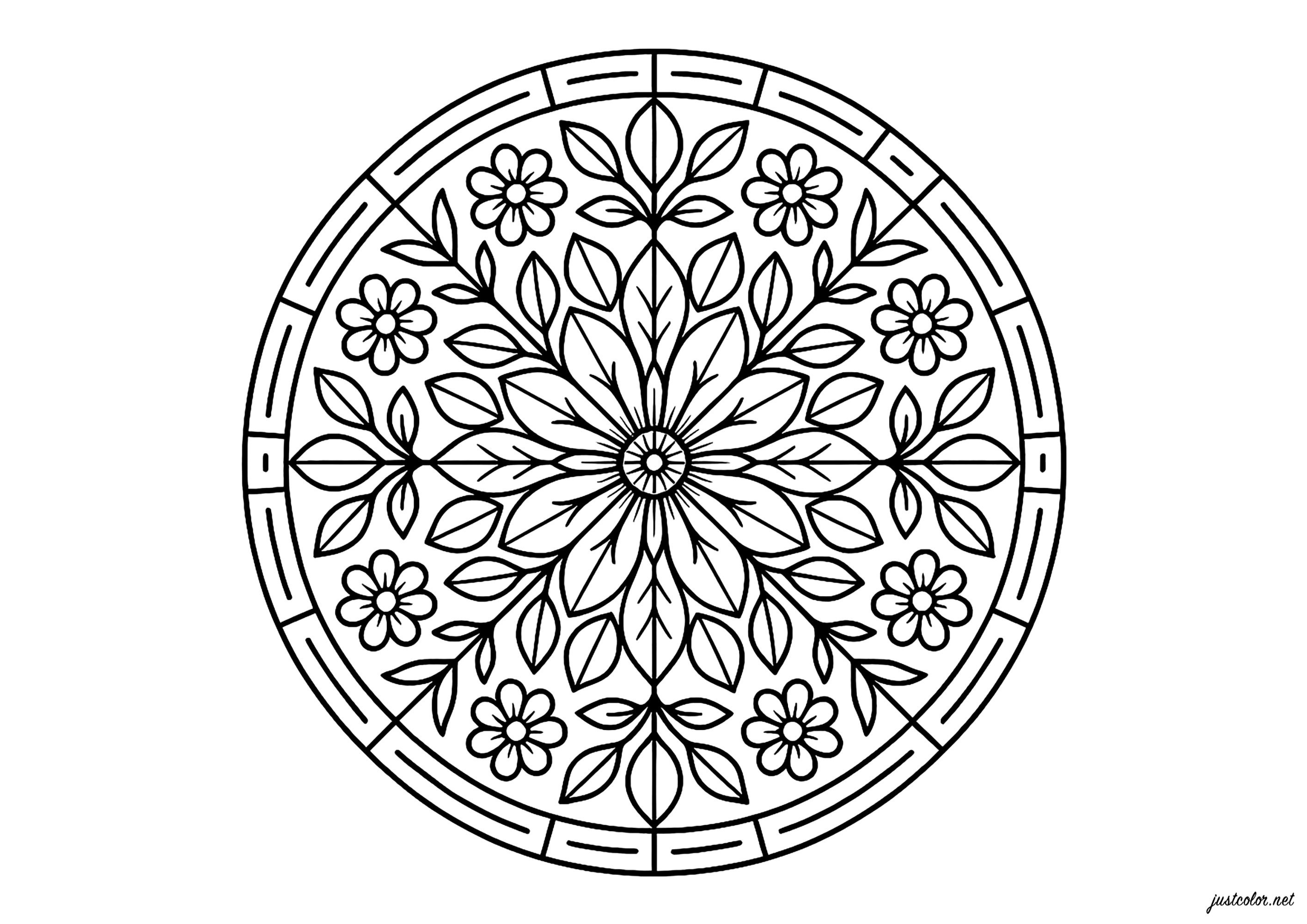 Symmetrical floral mandala (Printable Coloring Page for adults)