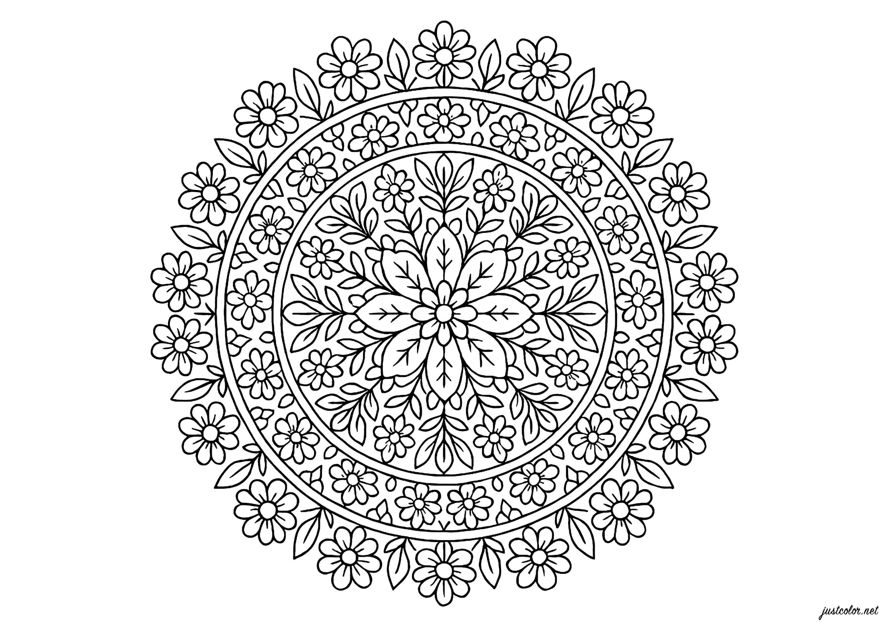 Mandalas-77411 - Mandalas Coloring Pages for adults