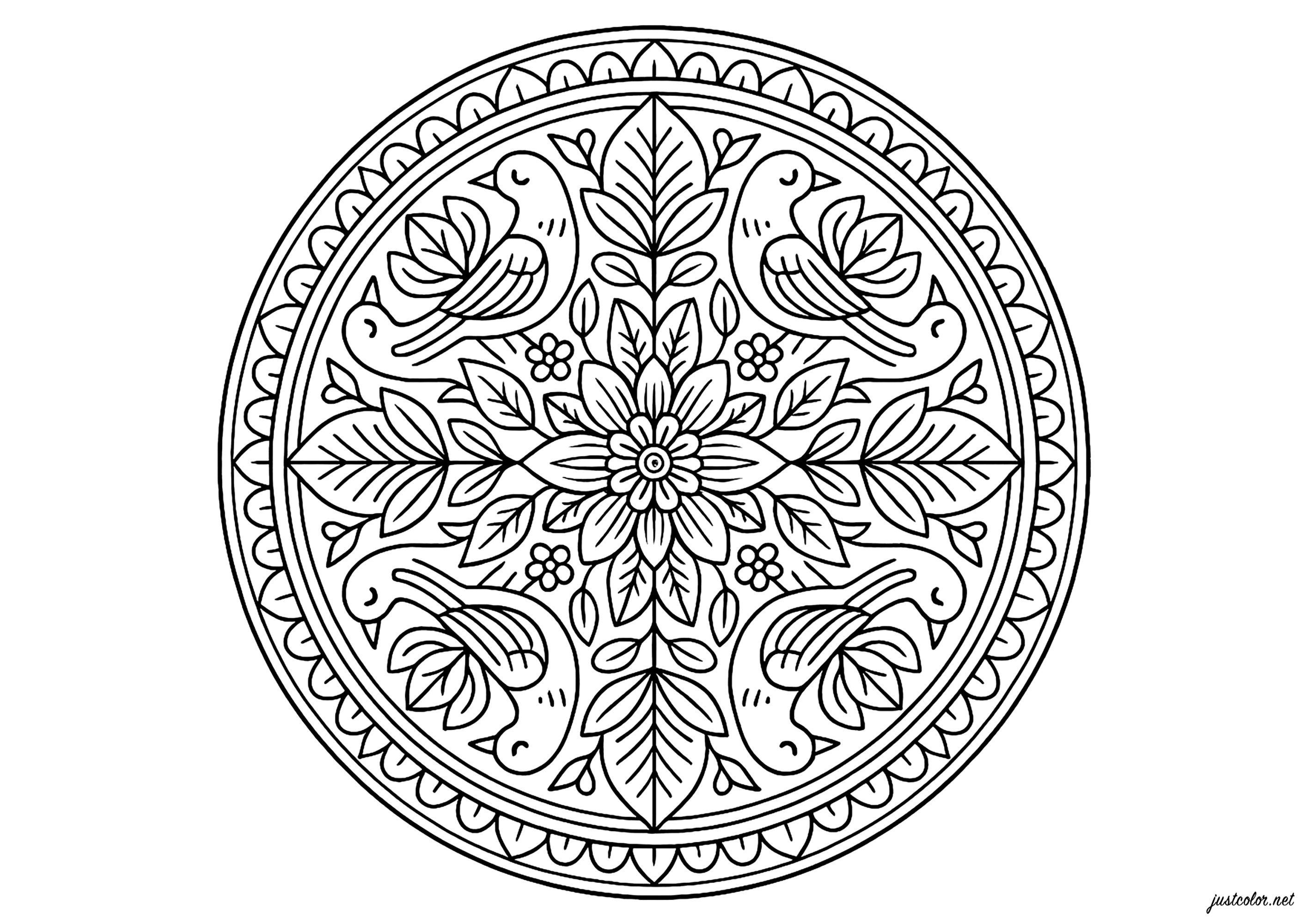 Natural Mandala Complex (Printable Coloring Page for adults)