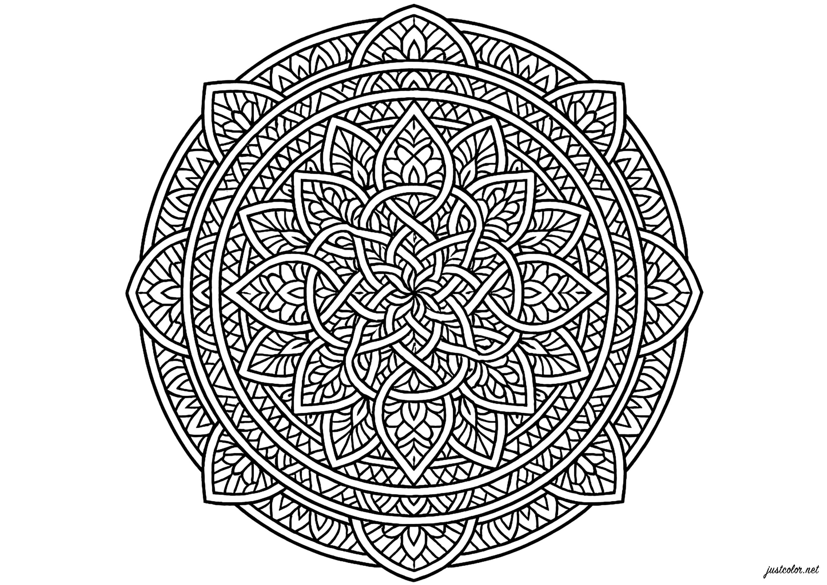 Floral symmetry and fascinating arabesques (Printable Mandalas Coloring Page for adults)