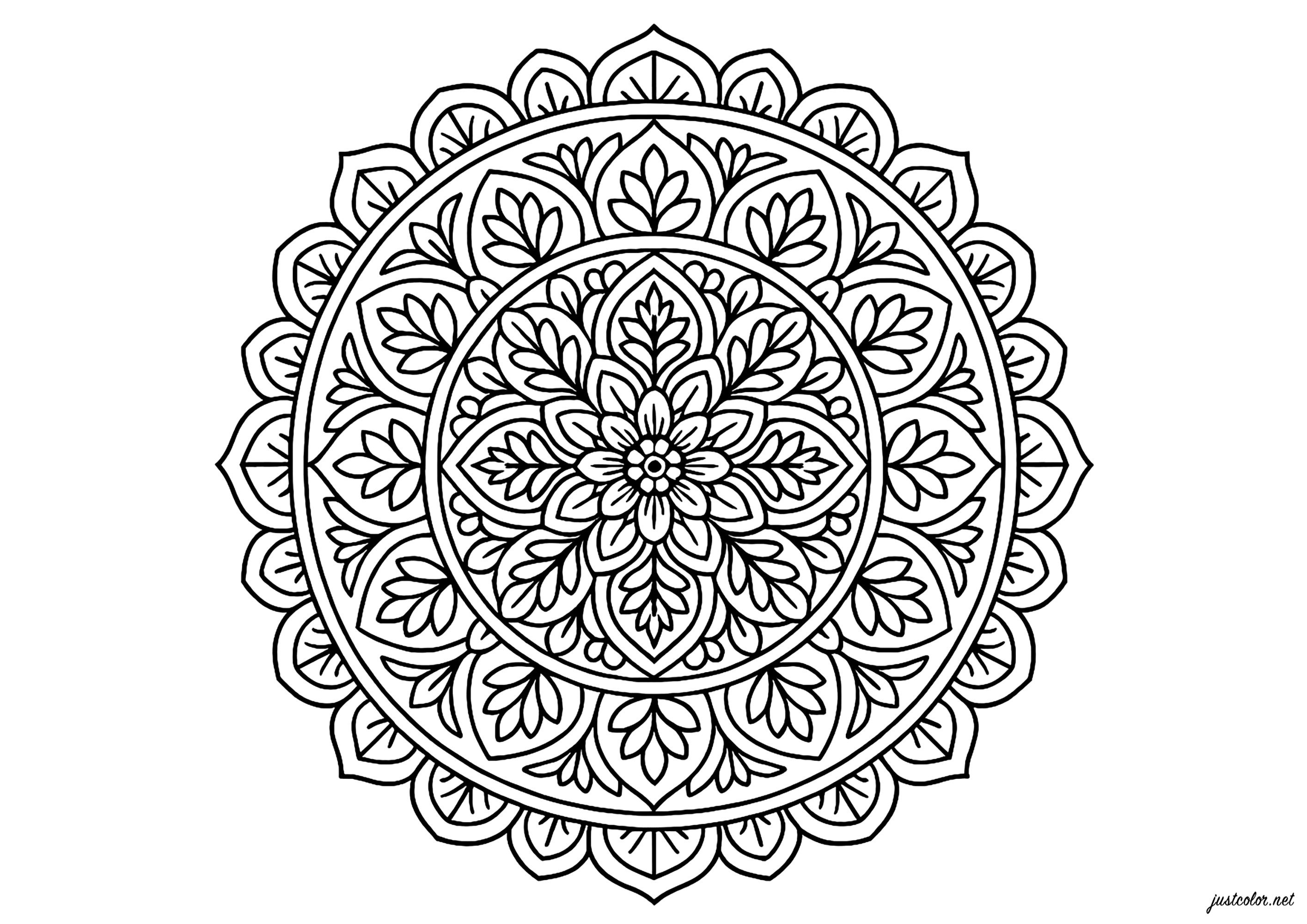 Beautiful, complex floral mandala (Printable Coloring Page for adults)