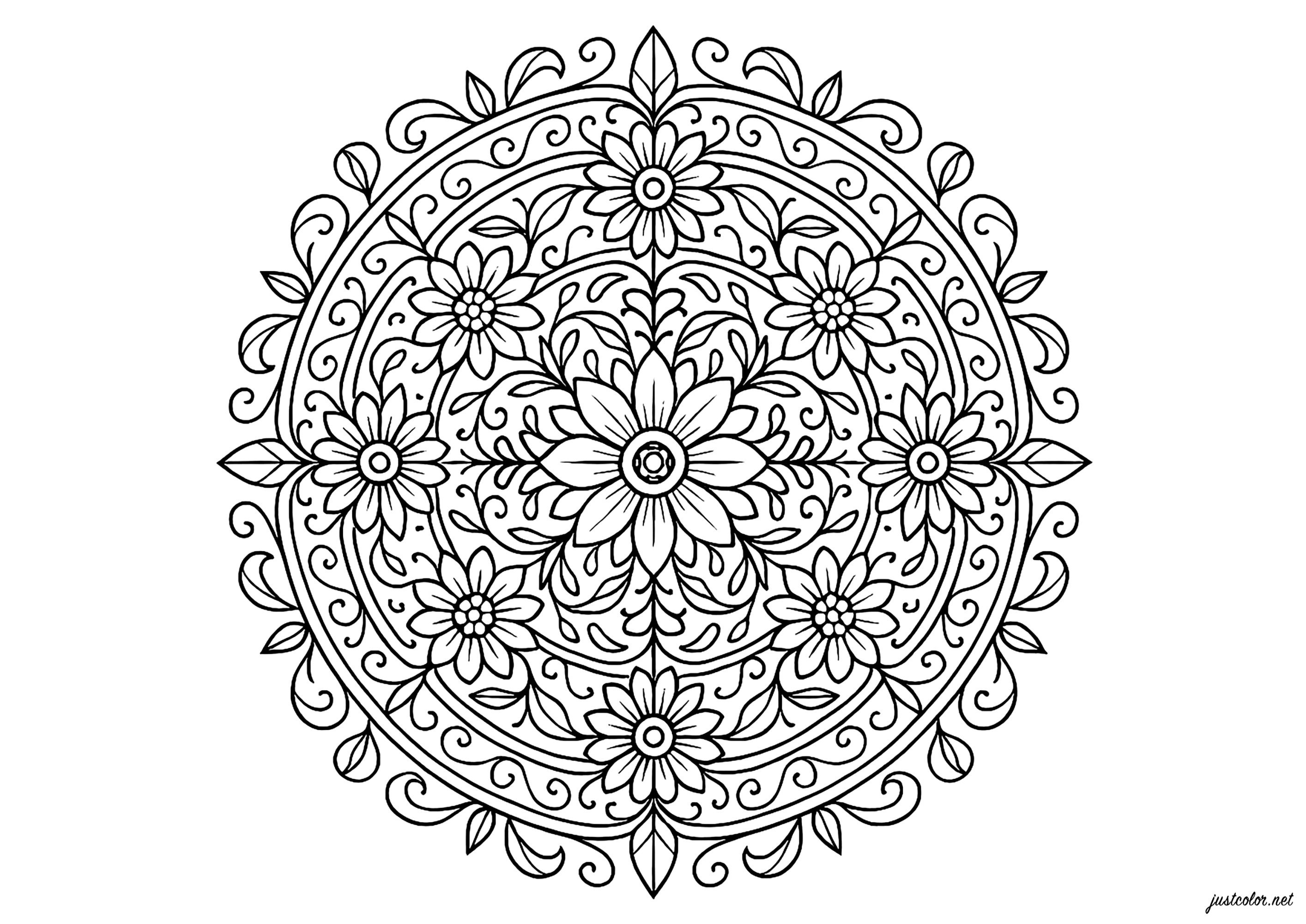 Floral mandala with enchanting motifs (Printable Coloring Page for adults)