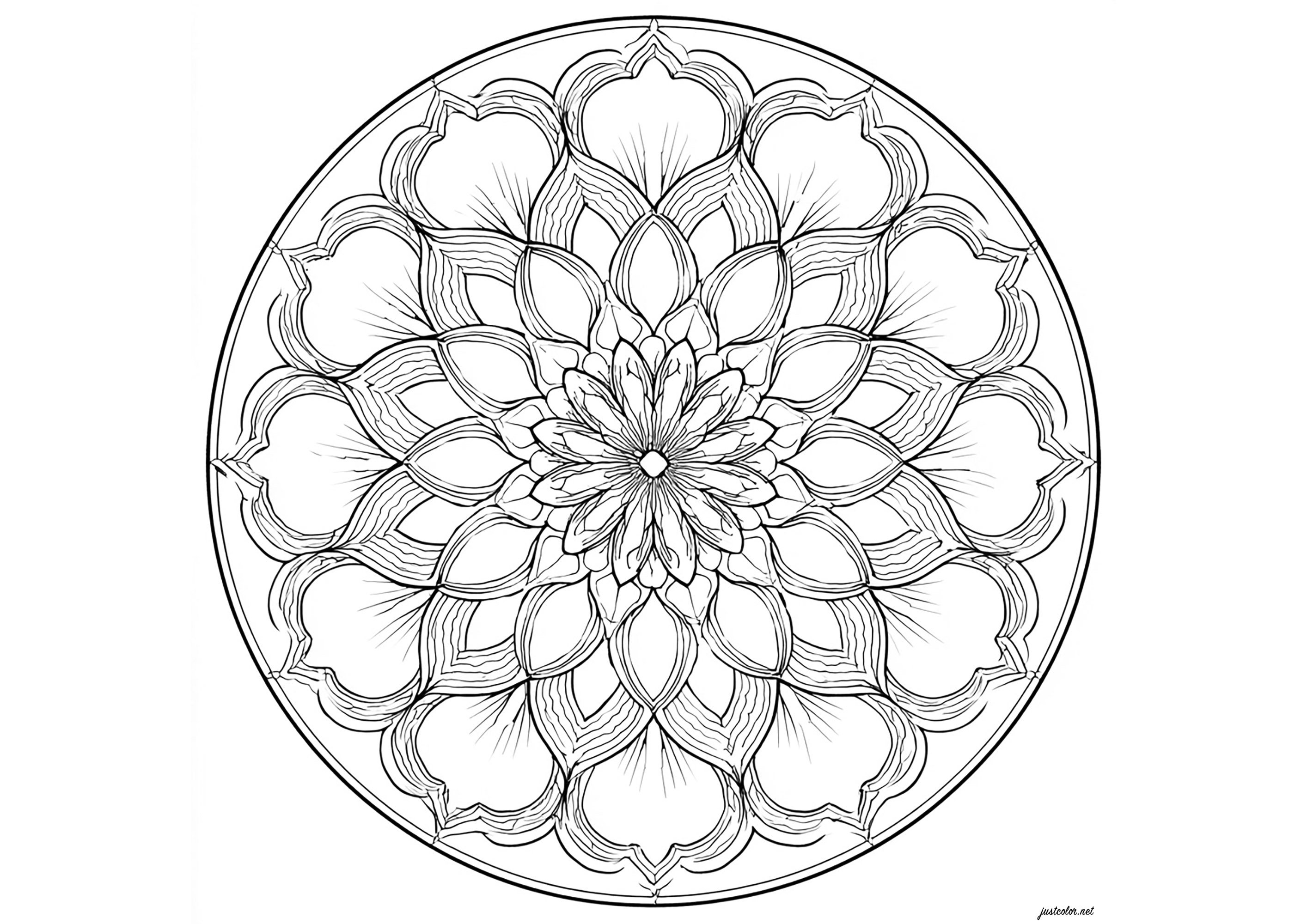 Pretty Mandala with large petals (Printable Coloring Page for adults)