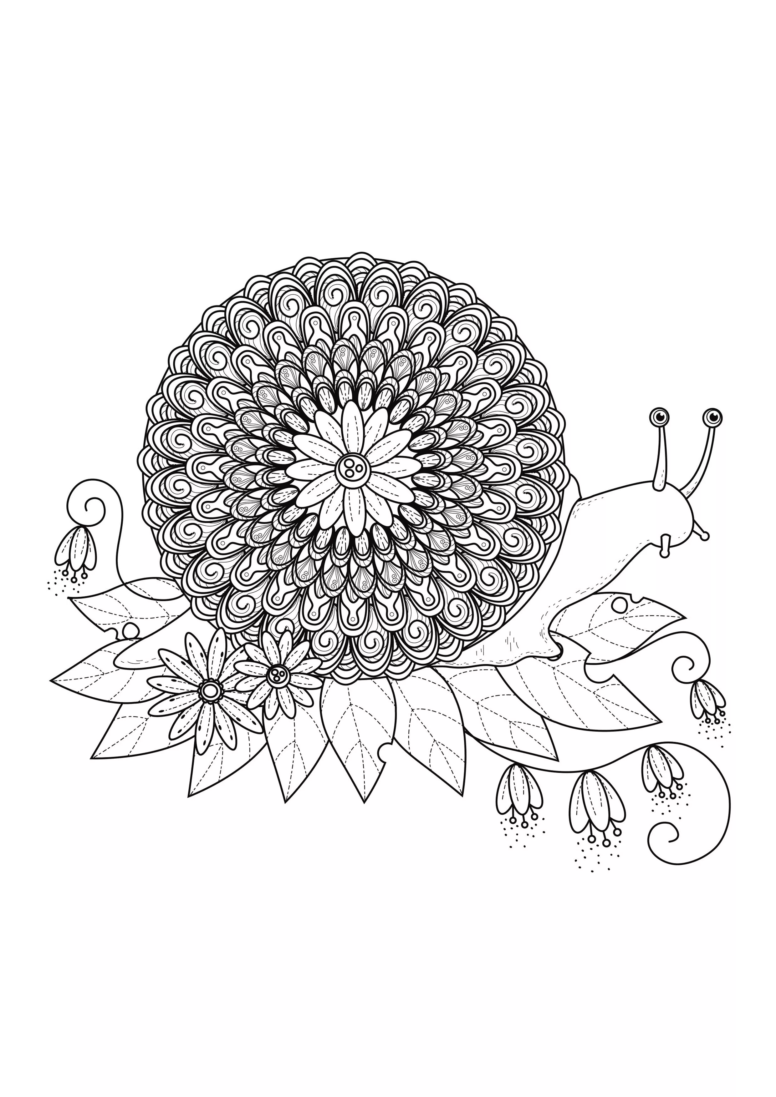 Snail mandala (Printable Coloring Page for adults)