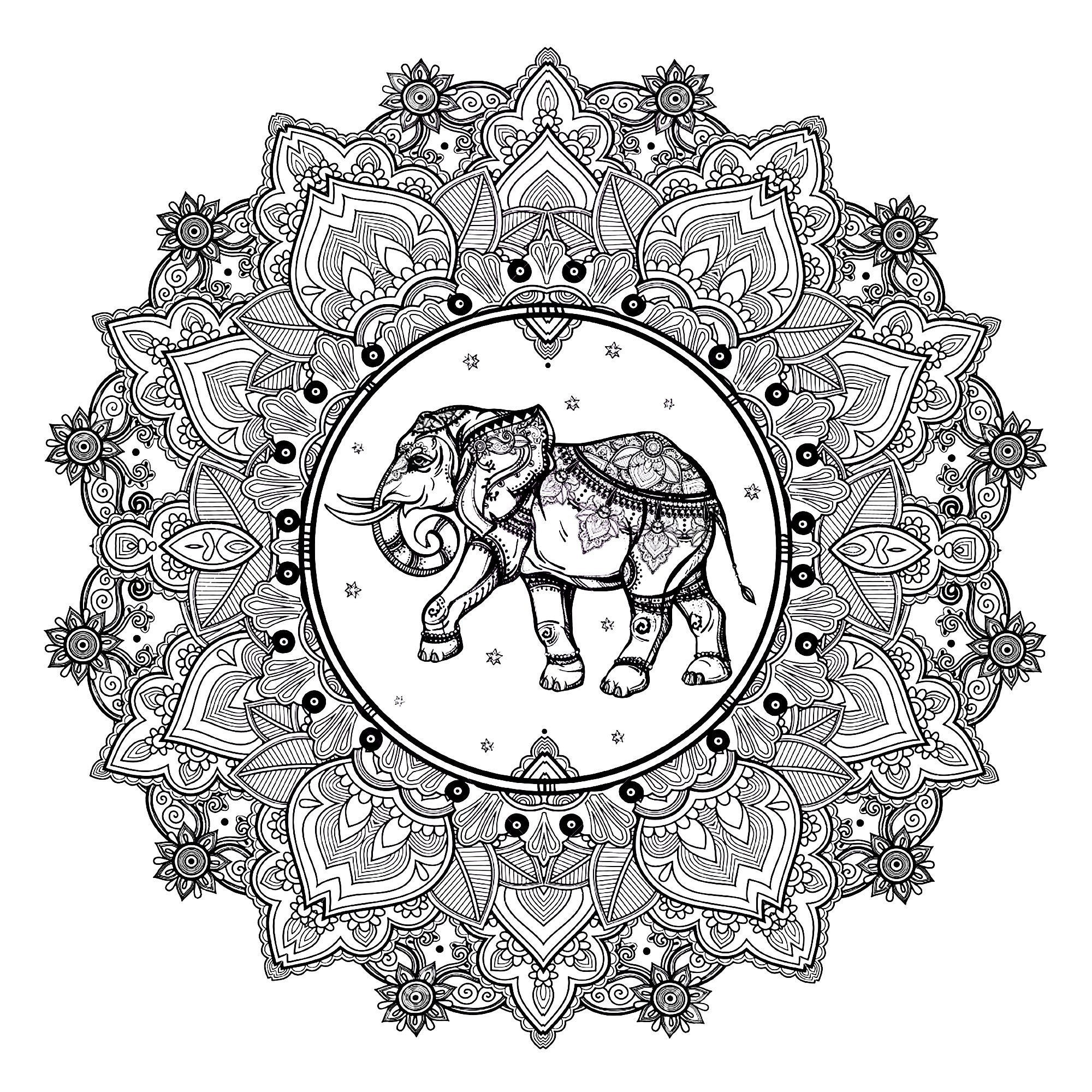 Mandala elephant 123rf - Mandalas Adult Coloring Pages